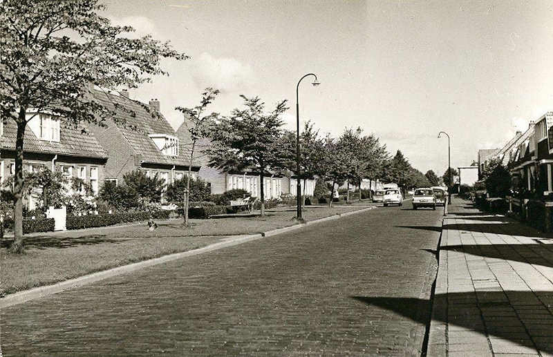 Sieger vd Laanstraat  1967